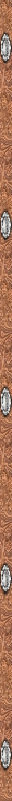 pinetree_good002010.jpg