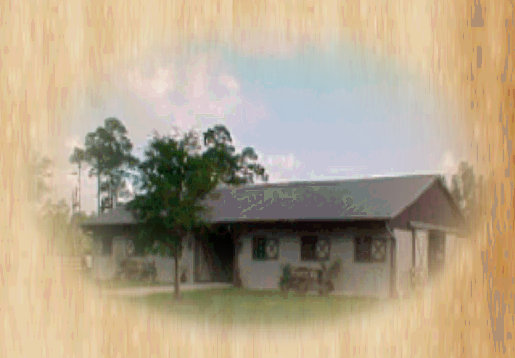 pinetree_good005003.jpg