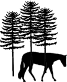 pinetree_good006009.gif